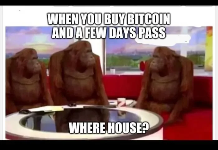 Two seated characters ask where the house is a few days after buying Bitcoin.